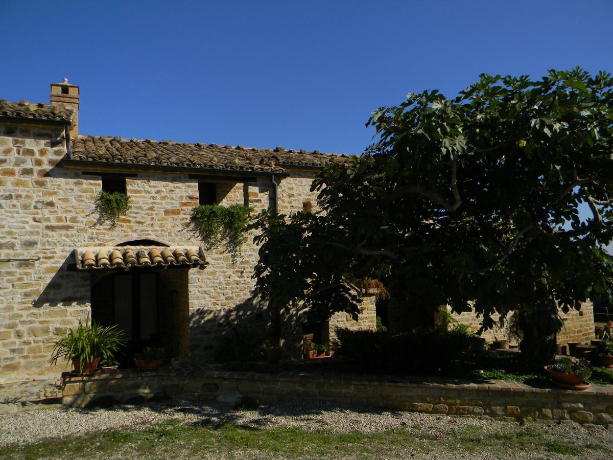 Azienda Agrituristica Colle San Giorgio Castiglione Messer Raimondo Exteriér fotografie