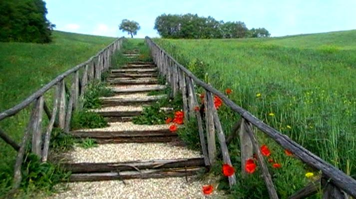 Azienda Agrituristica Colle San Giorgio Castiglione Messer Raimondo Exteriér fotografie